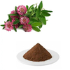 Natural Plant Isoflavones 20%, 40%, 8% Red Clover Extract by HPLC