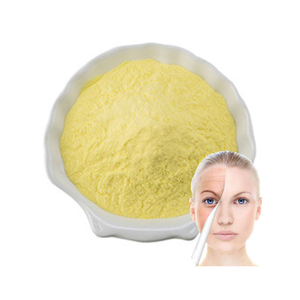 Wholesale Price Raw Materials A-lipoic Acid CAS 1077-28-7 Pure Alfa Lipoic Acid Powder