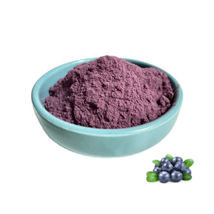 Factory Supply Hot Sale Natural Acai Berry Powder Acai Berry Extract Powder