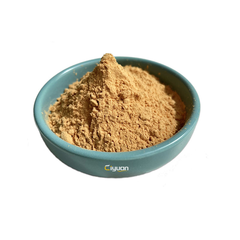 Bio Factory Supply natural supplement milk thistle extract Powder Silymarin