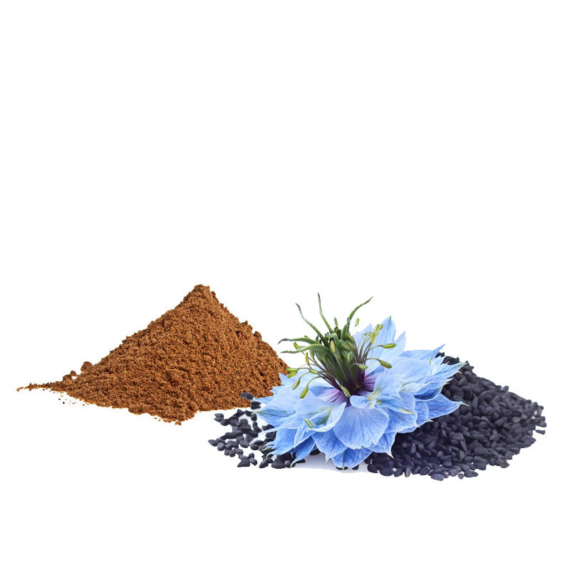 Customized 5% thymoquinone black cumin seed extract from Nigella Sativa, factory supplier