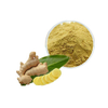 Factory Supply Ginger Powder Ginger Extract 1% 5% 10% Gingerol Powder