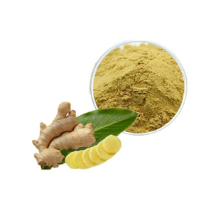 Factory Supply Ginger Powder Ginger Extract 1% 5% 10% Gingerol Powder