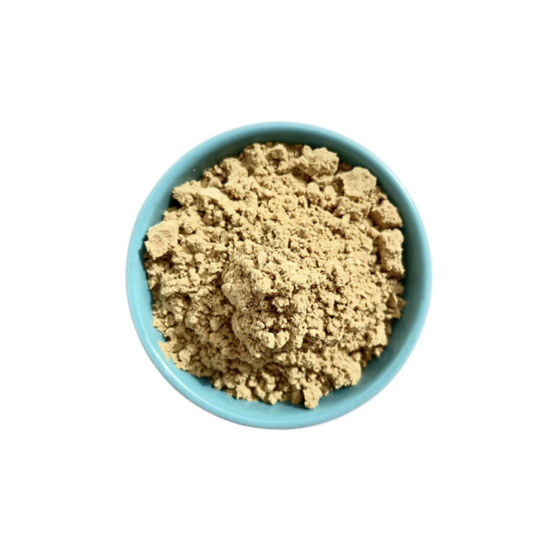 High Quality Ginseng Root Extract 80% Ginsenoside Customized Capsule with Private Label