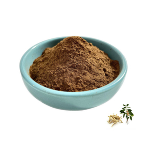 Hot Sale Ashwagandha Root Extract / Ashwaganda Extract Powder Withanolide