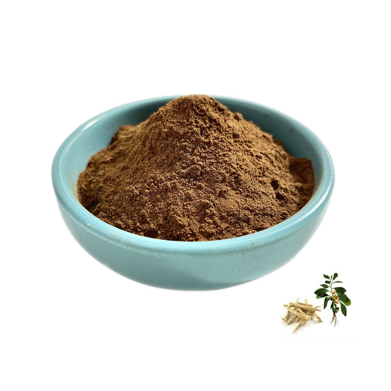 Hot Sale Ashwagandha Root Extract / Ashwaganda Extract Powder Withanolide