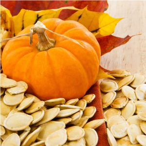 Natural Cucurbita Pepo Seed Extract Pumpkin Seed Extract Powder 45% Fatty Acid