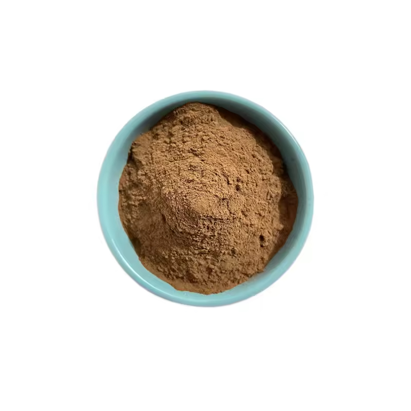 BIO Supply Top Quality Natural Sophora Alopecuroide Seed Extract Powder With Free Sample