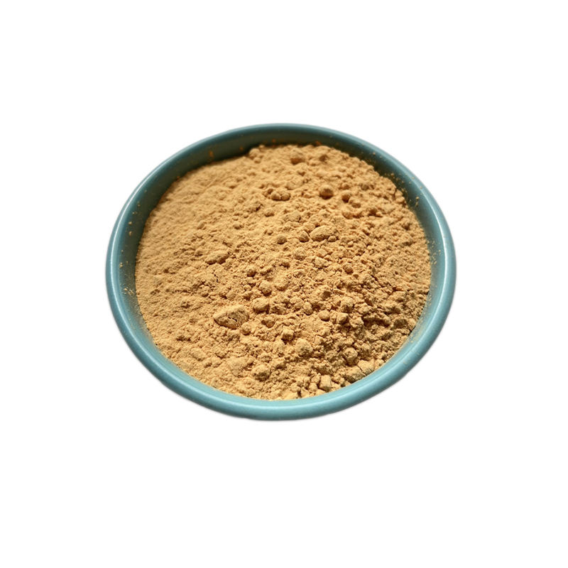 Bio Factory Supply natural supplement milk thistle extract Powder Silymarin