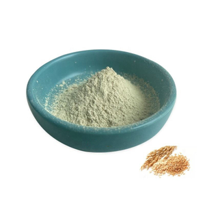 Factory Supply 100% Natural Oat Dietary Fiber Oat Fiber Powder with Good Quality