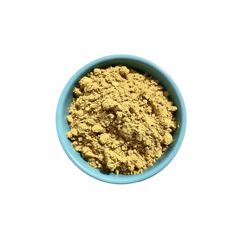 Factory Supply Rhubarb Root Extract Rheum Palmatum Extract Rhubarb Extract Powder Emodin