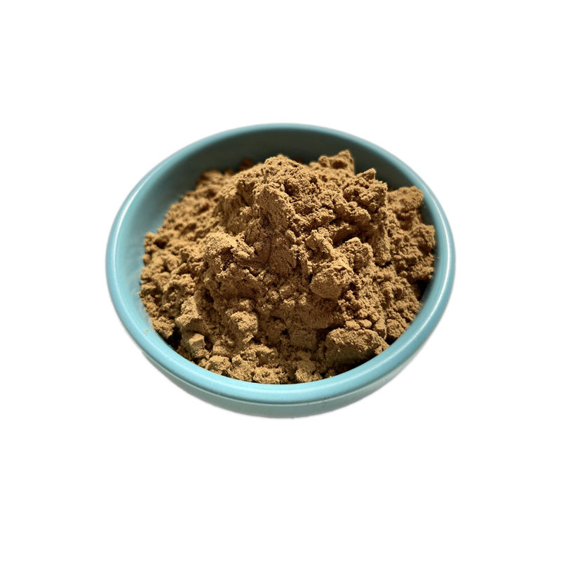 Customized 5% thymoquinone black cumin seed extract from Nigella Sativa, factory supplier