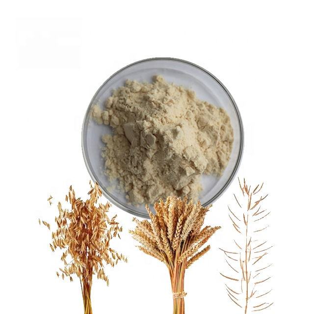 Factory Supply 100% Natural Oat Dietary Fiber Oat Fiber Powder with Good Quality