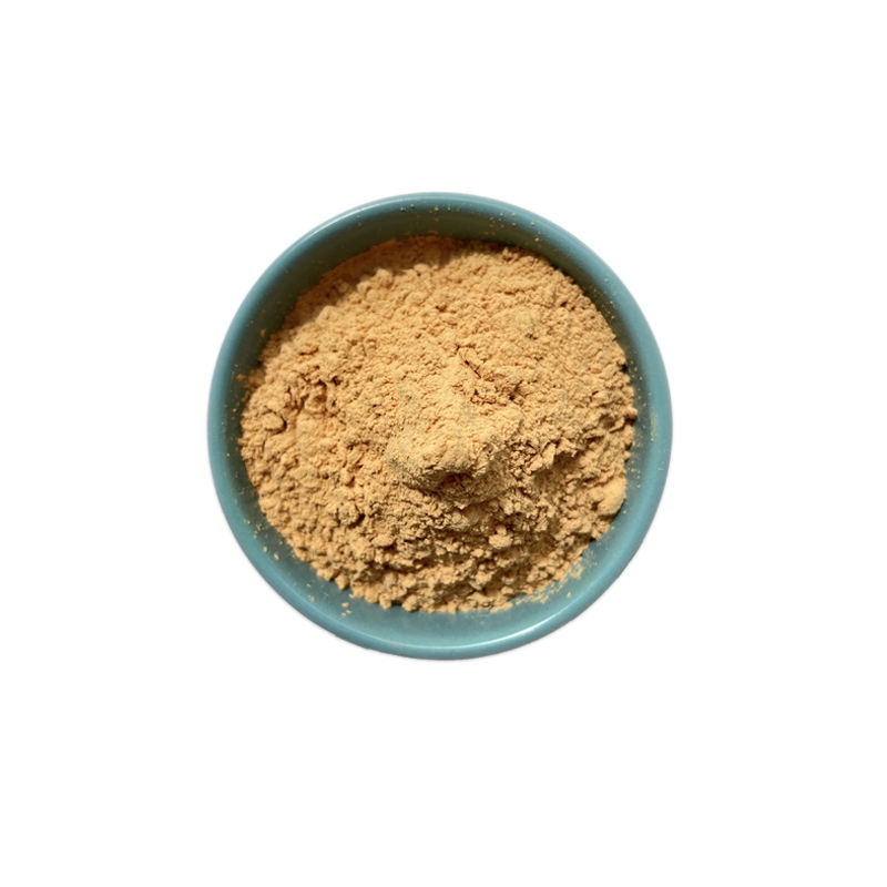 Factory Supply Monk Fruit Extract Monk Fruit Powder Luo Han Guo Sweetener Powder