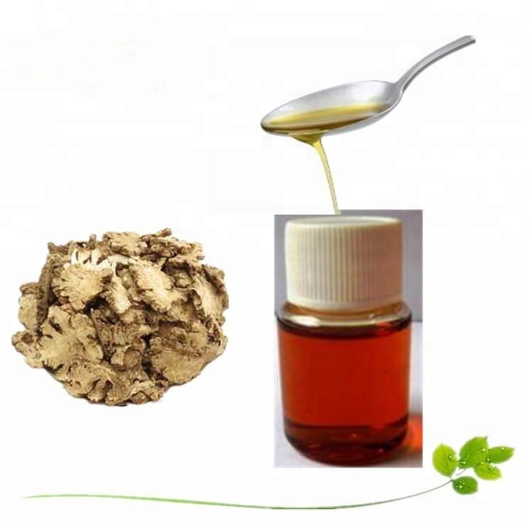 Factory Supply Natural Chuanxiong Extract Ligusticum Wallichii Extract Powder Polysaccharide