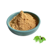 Factory Supply Mulberry Leaf Extract / Mulberry Extract Powder Polysaccharide