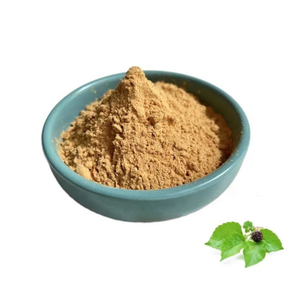 Factory Supply Mulberry Leaf Extract / Mulberry Extract Powder Polysaccharide