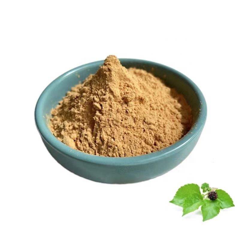 Factory Supply Mulberry Leaf Extract / Mulberry Extract Powder Polysaccharide