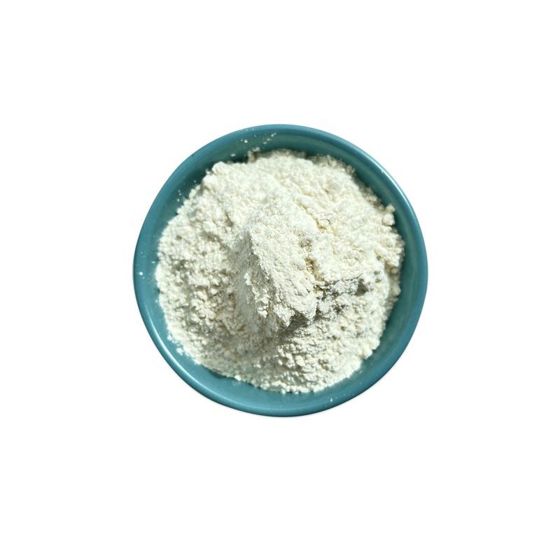 Factory Supply Wild Yam Extract Powder Wild Yam Powder Polysaccharide Dioscin Diosgenin