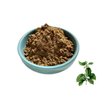 Factory Supply Gymnema Sylvestre Extract Powder Gymnema Acid