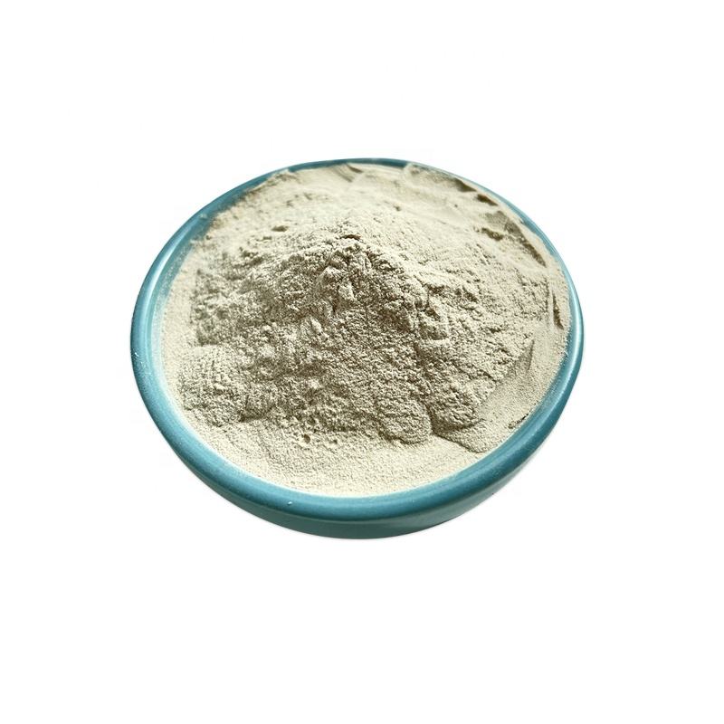 Factory Supply Garcinia Cambogia Extract Powder 50% Hydroxycitric Acid HCA Powder