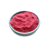 Factory Supply Natural Acerola Extract Acerola Cherry Extract Powder VC25%