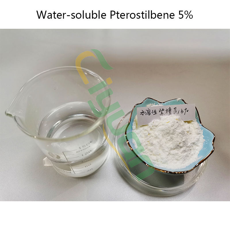 Factory Supplier Cosmetic Grade Pterostilbene 5% Wate-soluble CAS NO.537-42-8